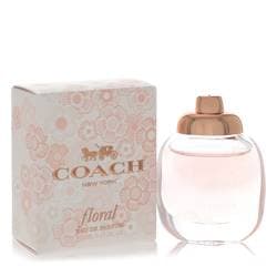 Coach Dreams Moonlight