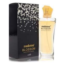 Madonna Blossom