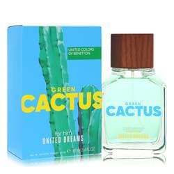 United Dreams Green Cactus