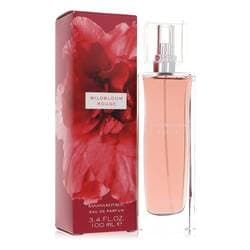 Banana Republic Wildbloom Rouge