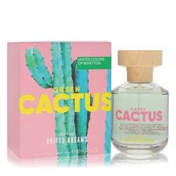 United Dreams Green Cactus
