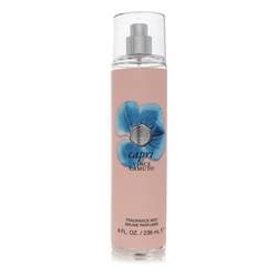 Vince Camuto Amore